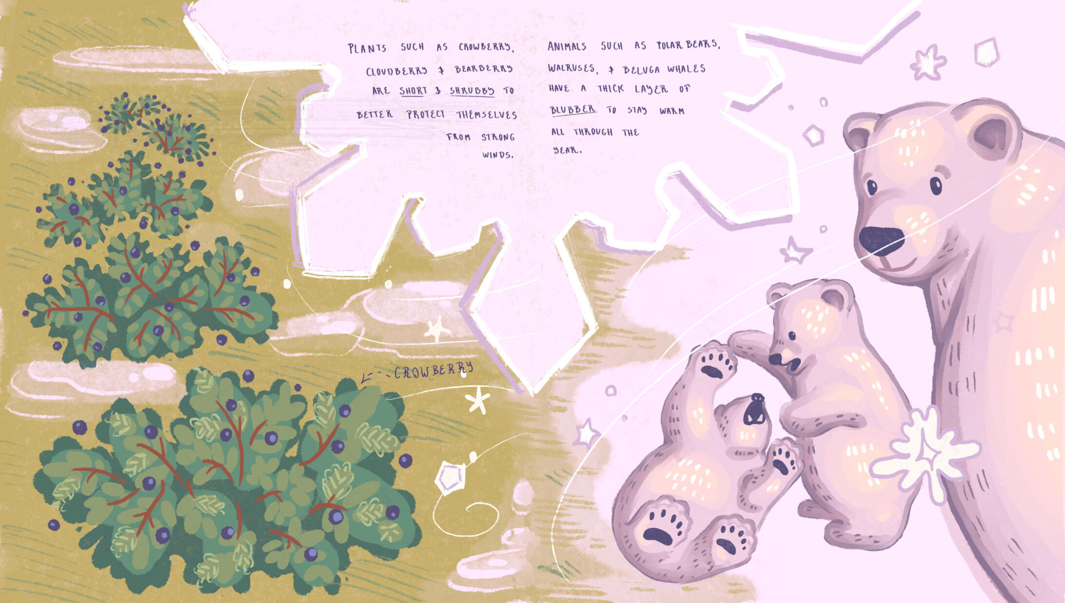 Polar Bears Polar Bears