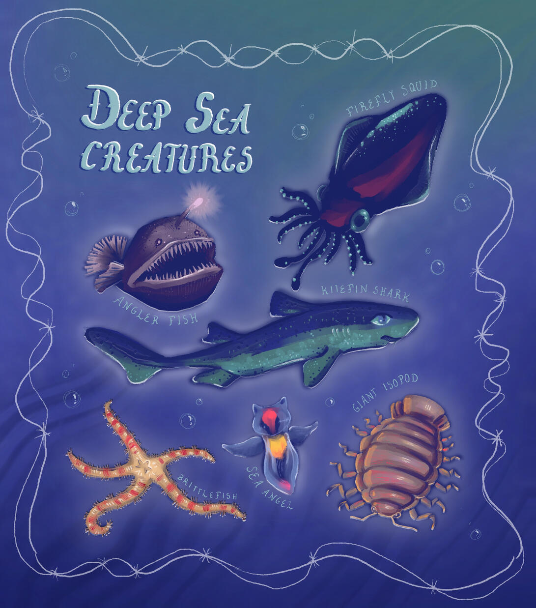Deep Sea Creatures Deep Sea Creatures